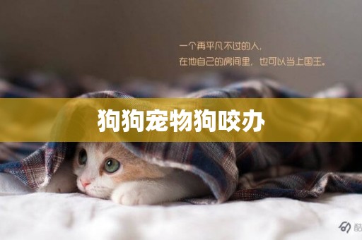 狗狗寵物狗咬辦