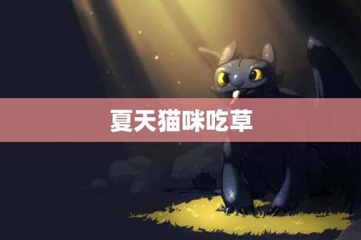 夏天貓咪吃草