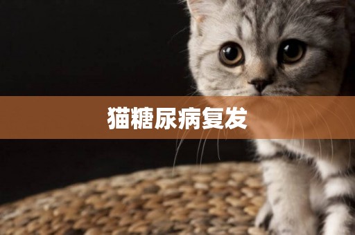 貓糖尿病復發