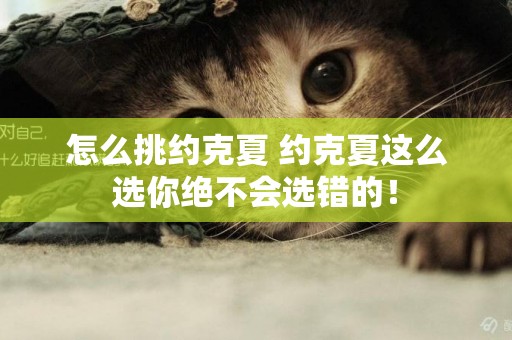 怎么挑約克夏 約克夏這么選你絕不會選錯的！