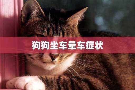 狗狗坐車暈車癥狀