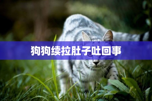 狗狗續拉肚子吐回事
