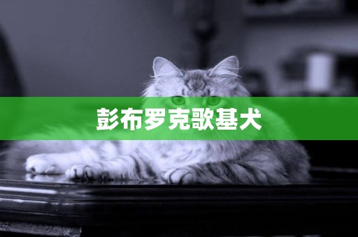 彭布羅克歌基犬