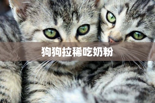 狗狗拉稀吃奶粉