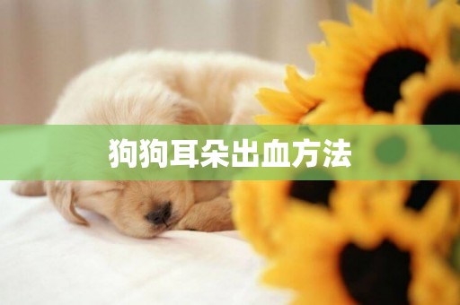 狗狗耳朵出血方法