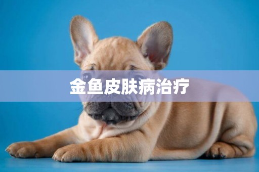 金魚皮膚病治療