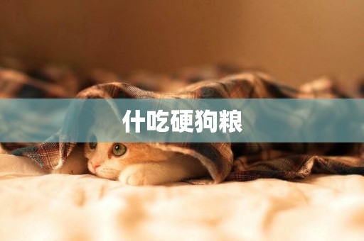 什吃硬狗糧