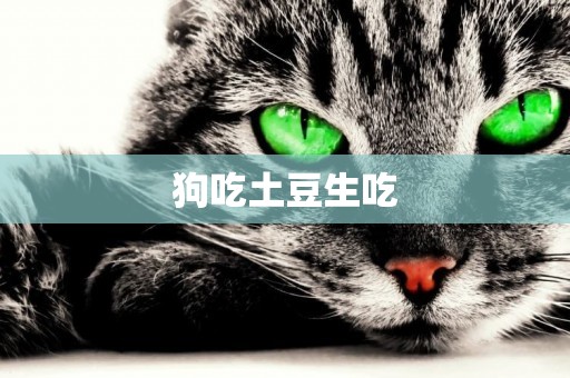 狗吃土豆生吃