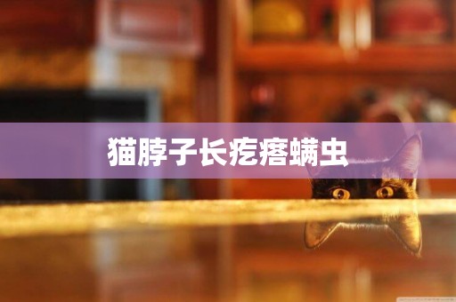 貓脖子長疙瘩螨蟲
