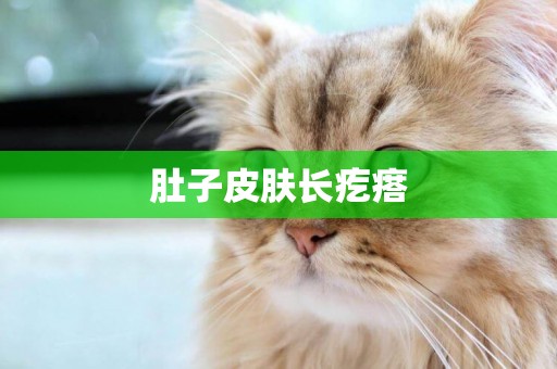 肚子皮膚長疙瘩