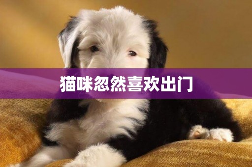 貓咪忽然喜歡出門