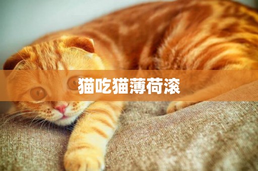 貓吃貓薄荷滾