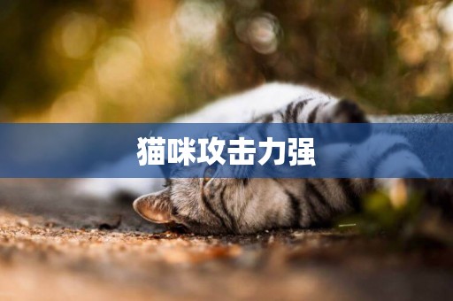 貓咪攻擊力強