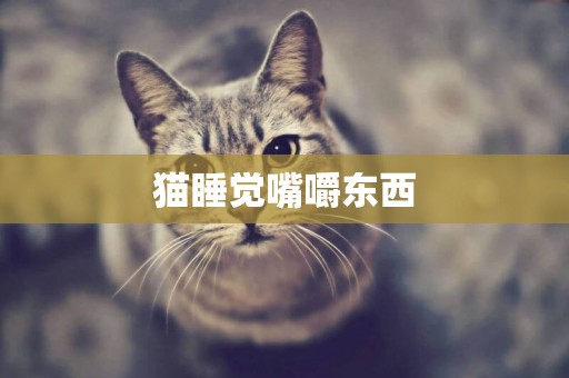 貓睡覺嘴嚼東西