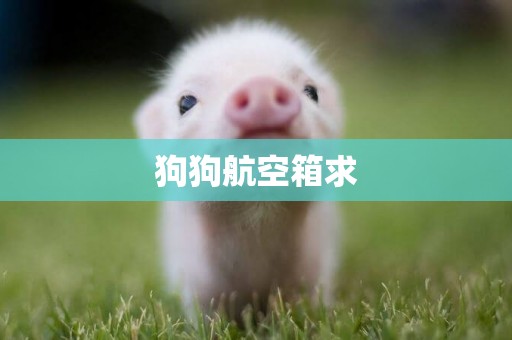 狗狗航空箱求