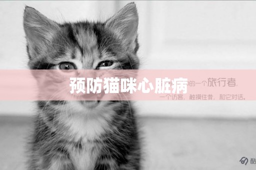 預防貓咪心臟病