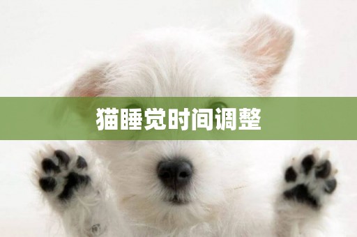 貓睡覺時間調整