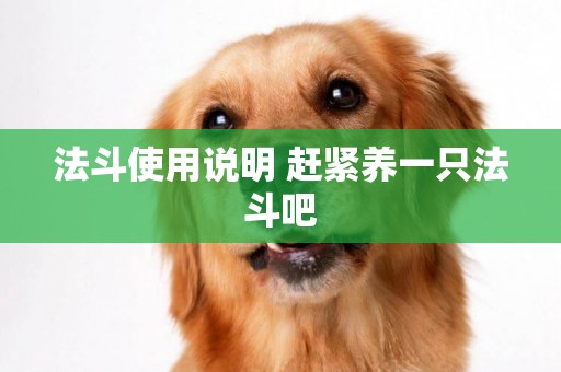 法斗使用說明 趕緊養一只法斗吧