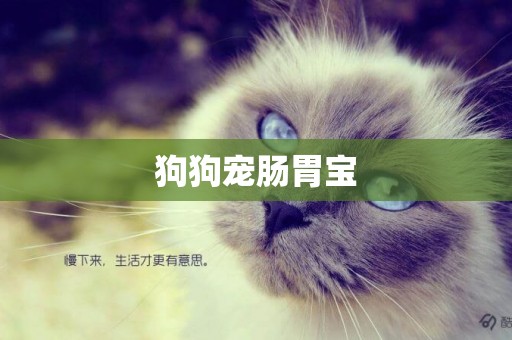 狗狗寵腸胃寶