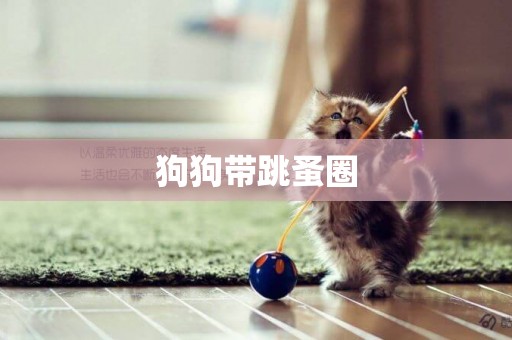 狗狗帶跳蚤圈