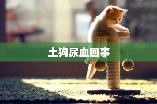土狗尿血回事