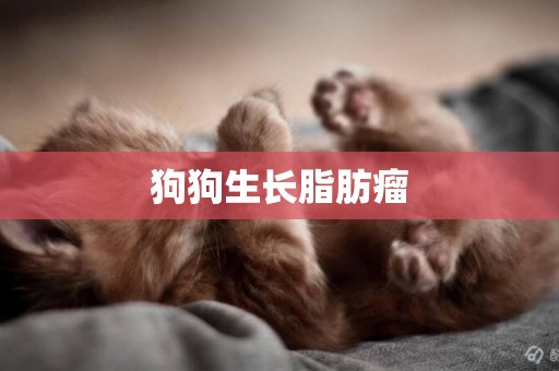 狗狗生長脂肪瘤