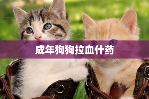 成年狗狗拉血什藥