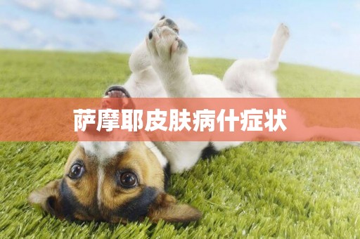 薩摩耶皮膚病什癥狀
