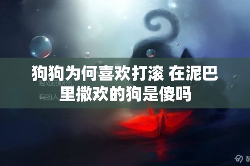 狗狗為何喜歡打滾 在泥巴里撒歡的狗是傻嗎