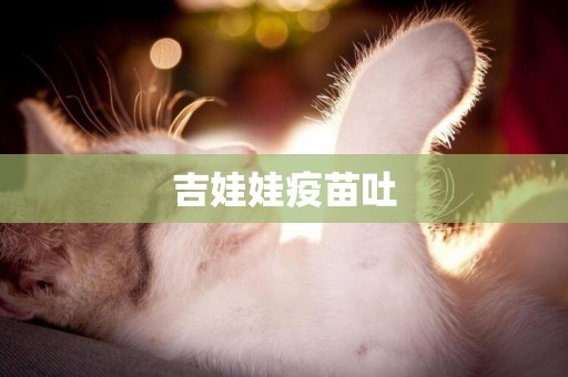 吉娃娃疫苗吐