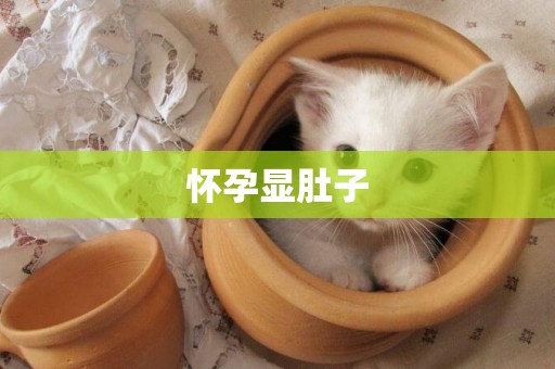 懷孕顯肚子