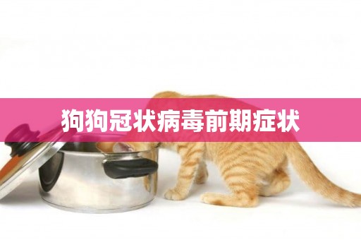 狗狗冠狀病毒前期癥狀