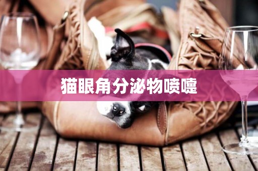 貓眼角分泌物噴嚏