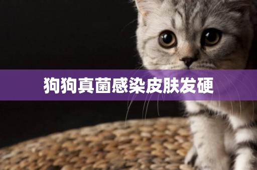 狗狗真菌感染皮膚發硬