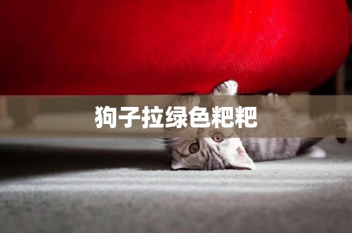 狗子拉綠色粑粑