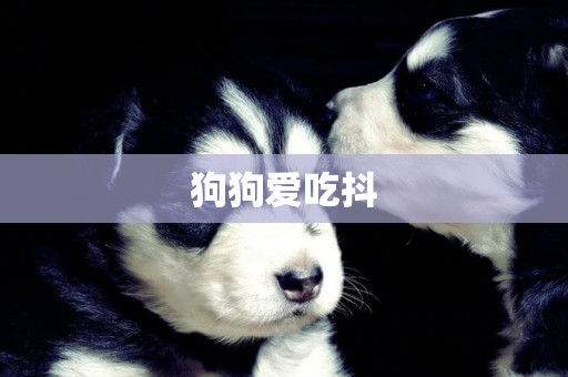 狗狗愛吃抖