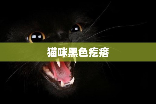 貓咪黑色疙瘩
