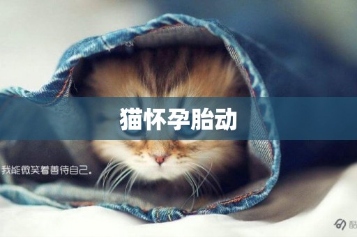 貓懷孕胎動
