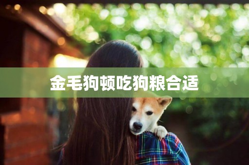 金毛狗頓吃狗糧合適