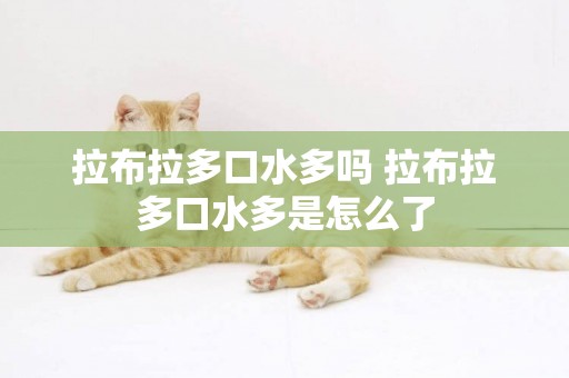 拉布拉多口水多嗎 拉布拉多口水多是怎么了
