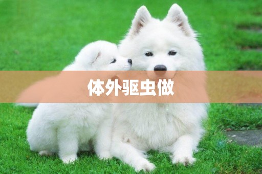 體外驅蟲做