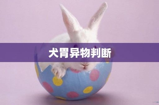 犬胃異物判斷