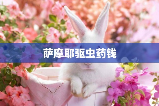 薩摩耶驅蟲藥錢