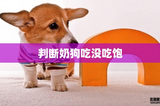 判斷奶狗吃沒吃飽