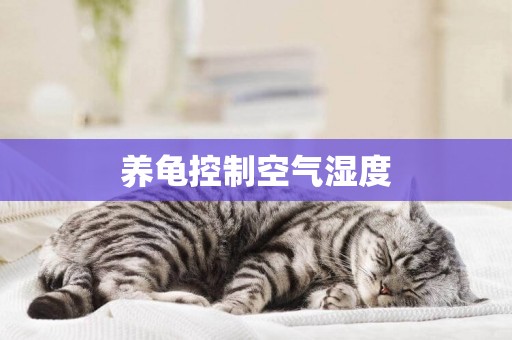 養龜控制空氣濕度
