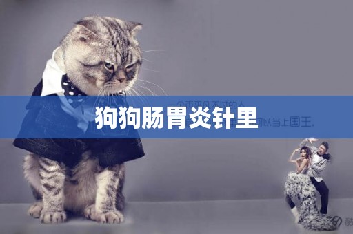 狗狗腸胃炎針里