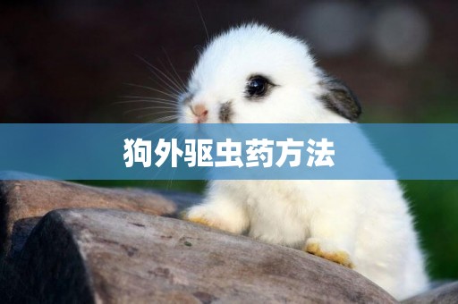 狗外驅蟲藥方法