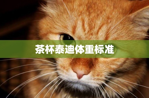 茶杯泰迪體重標準