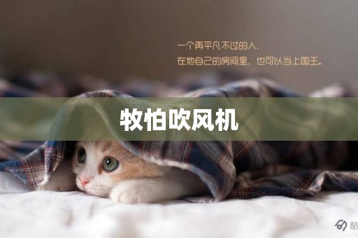 牧怕吹風機