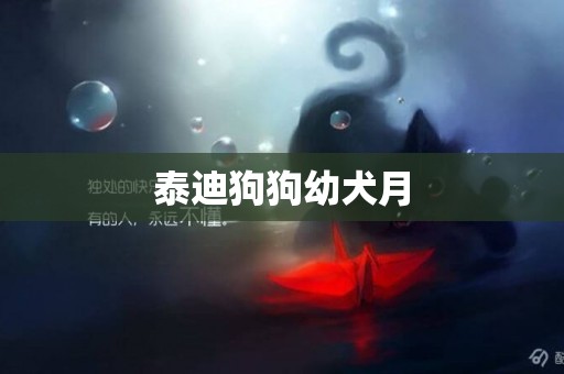 泰迪狗狗幼犬月